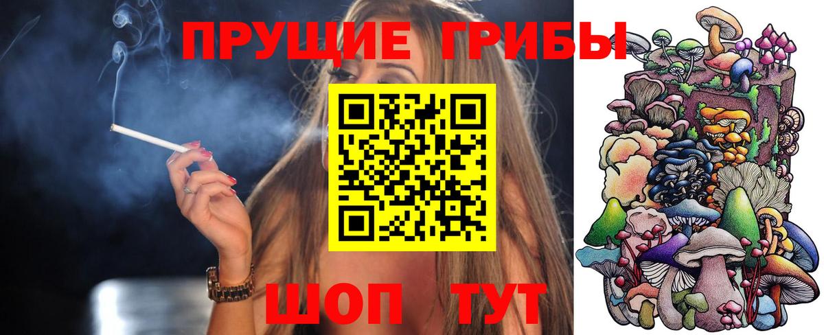 Псилоцибиновые грибы GOLDEN TEACHER Кузнецк